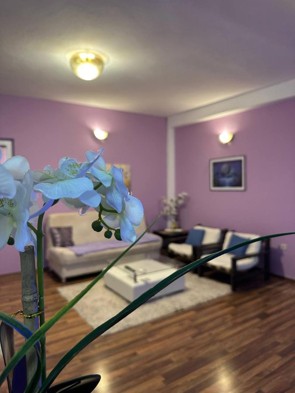 Riaho Apartment Mostar Exterior photo